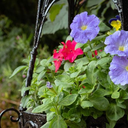 Croneybyrne Courtyard Villa Clara ภายนอก รูปภาพ