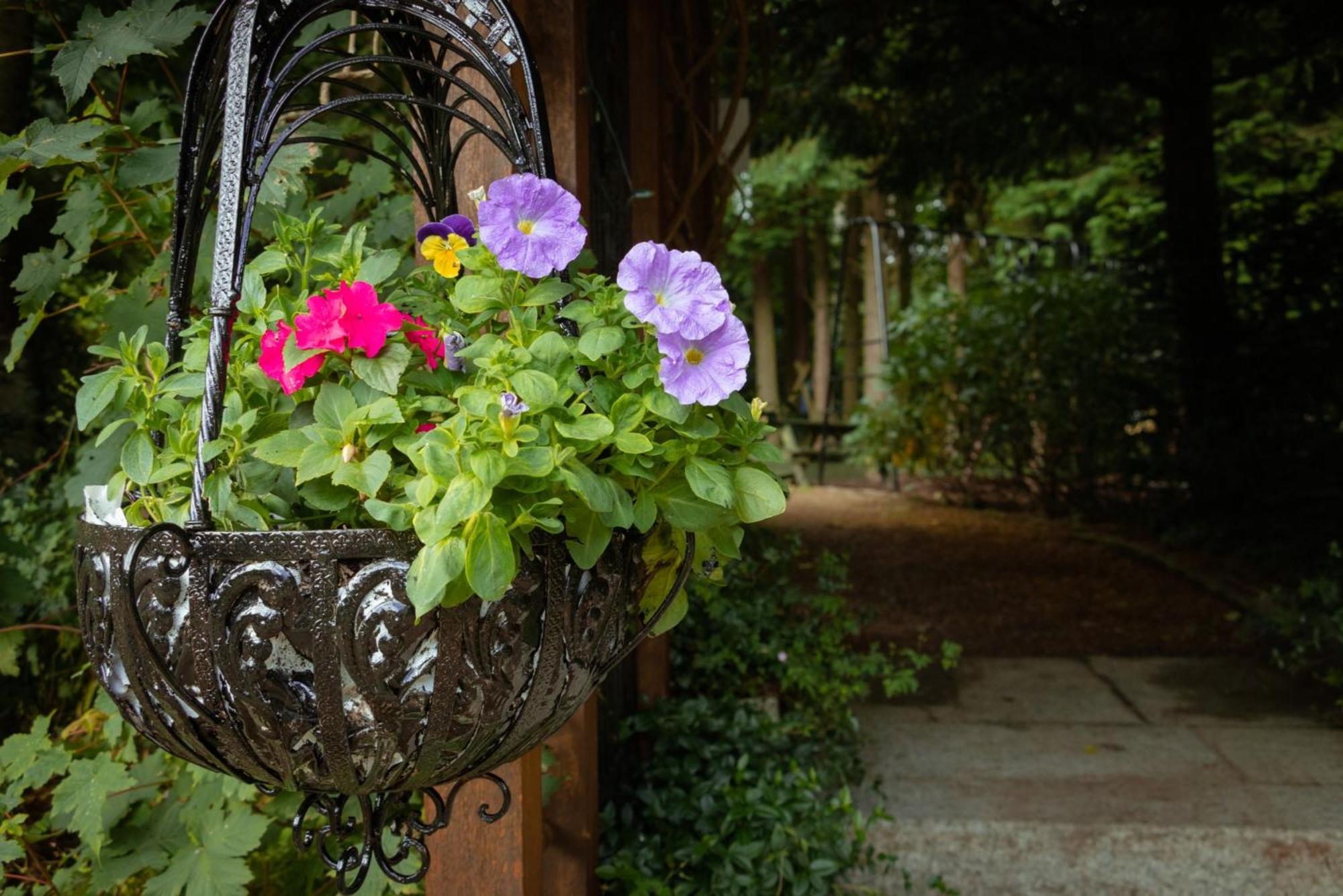 Croneybyrne Courtyard Villa Clara ภายนอก รูปภาพ